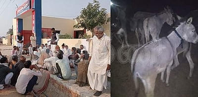 'கழுதைகளைக் காணோம்' - ராஜஸ்தான் போலீசாருக்கு வந்த சோதனை!