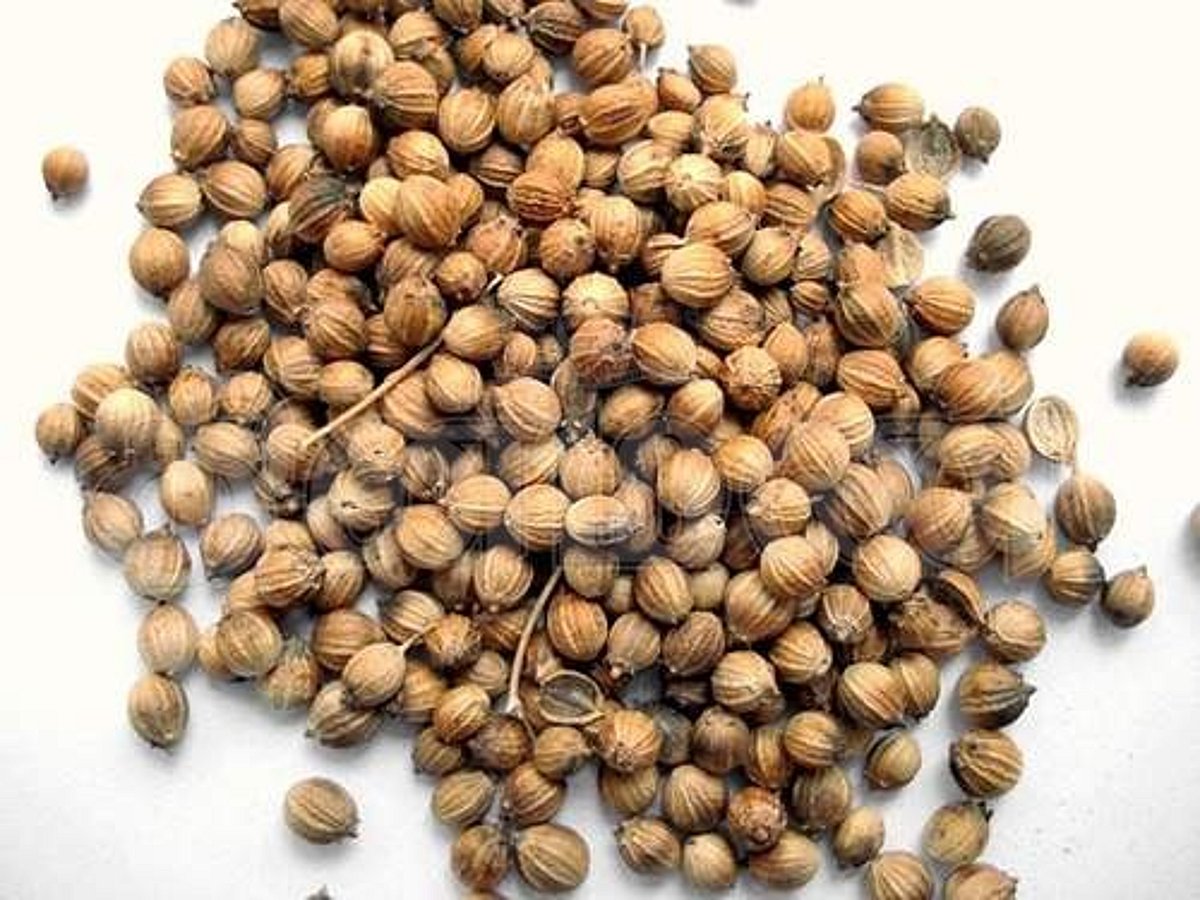 சுகம் தரும் சித்த மருத்துவம்: கல்லீரலை காக்கும் ‘கொத்துமல்லி’