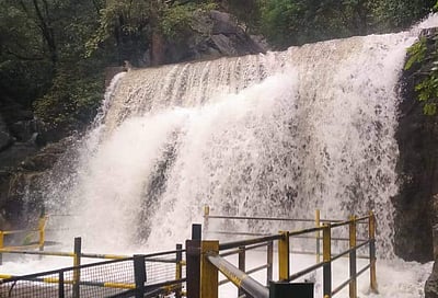 சுருளி அருவியில் வெள்ளப்பெருக்கு