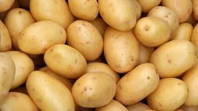 உருளைக்கிழங்கு சாப்பிடுவதால் உடல் எடை அதிகரிக்குமா?