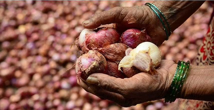 விவசாயிகளுக்கு ரத்தக் கண்ணீரை வரவழைத்த வெங்காயம்: 1,123 கிலோ 13 ரூபாயா?