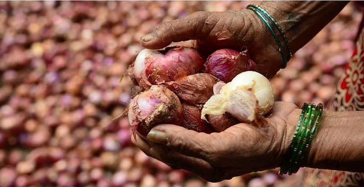 விவசாயிகளுக்கு ரத்தக் கண்ணீரை வரவழைத்த வெங்காயம்: 1,123 கிலோ 13 ரூபாயா?