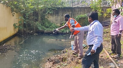 கொசுப் புழுக்களை ஒழிக்க எண்ணெய் பந்துகள் வீச்சு