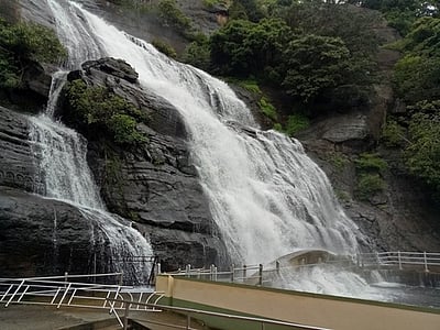 டிச.20 முதல் குற்றாலம் அருவிகளில் பொதுமக்கள் குளிக்க அனுமதி