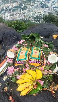 திருவண்ணாமலையில் மகா தீபம் ஏற்றப்பட்ட மலைக்கு பரிகார பூஜை