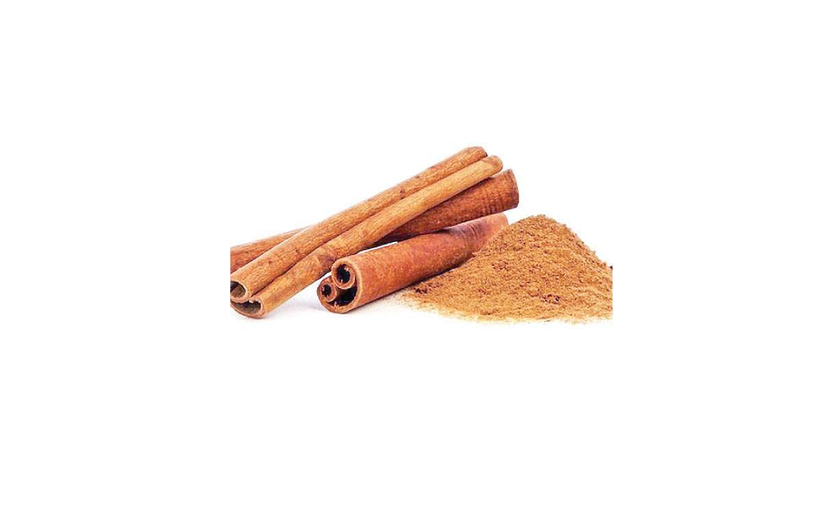 சுருள்பட்டையின் பயன்கள்!