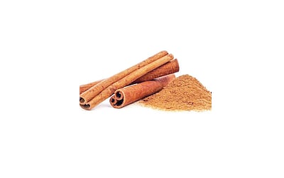 சுருள்பட்டையின் பயன்கள்!