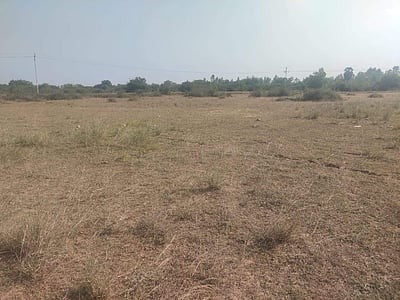 திருவள்ளூரில் சுதாகரன், இளவரசியின் சொத்துகள் பறிமுதல்: ஆட்சியர் தகவல்