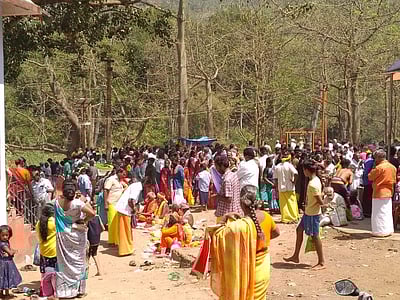 தை அமாவாசை: சுருளி அருவியில் குவிந்த பக்தர்கள்