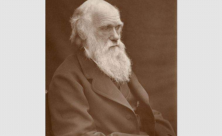 படைப்புக் கோட்பாட்டை நிராகரித்த பரிணாமக் கோட்பாட்டாளர் டார்வின்