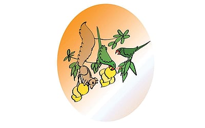 விரட்டாதே!