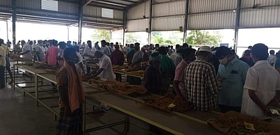 மஞ்சள் விலை தொடர்ந்து உயர்வு: விவசாயிகள் மகிழ்ச்சி