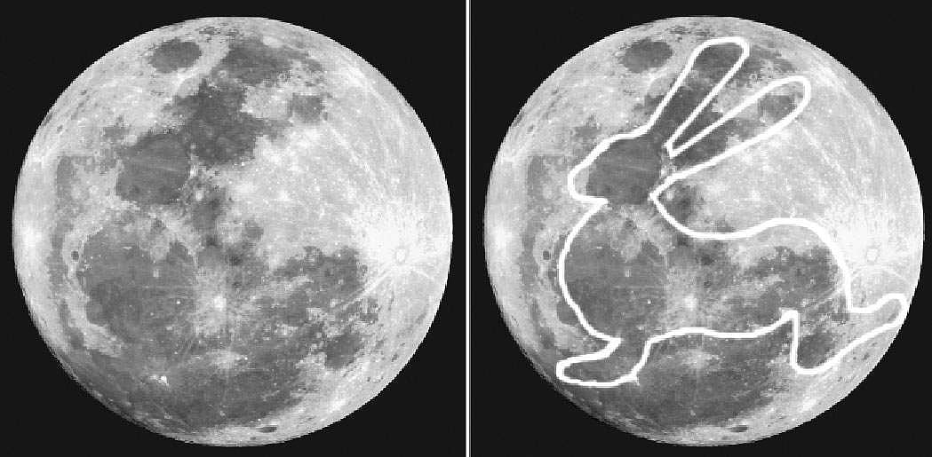 முயல் வளாவிய முழுநிலா