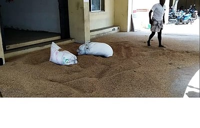 டி.என்.சி.எஸ்.சி. அலுவலகம் முன் நெல்லைக் கொட்டி போராட்டம்