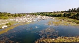 வீரணகுப்பம் தென்பெண்ணை ஆற்றின் குறுக்கே தடுப்பணை கட்ட கோரிக்கை