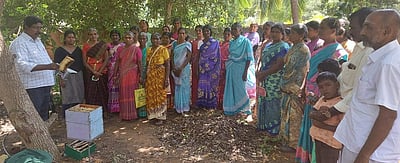 முதலூரில் தேனீ வளா்ப்பு சிறப்பு பயிற்சி முகாம்