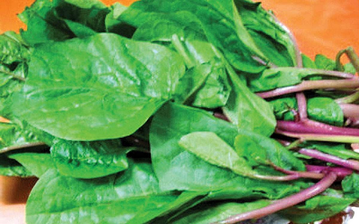 பசலைக்கீரையின் பயன்கள்...