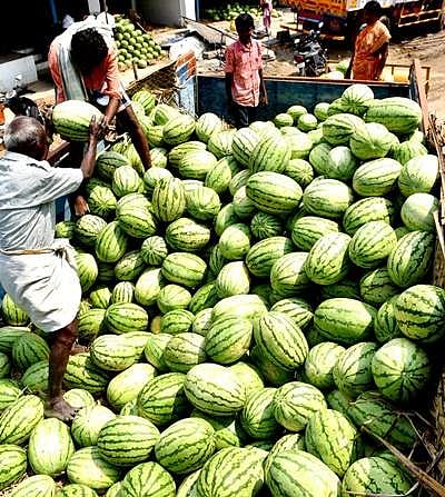 தர்பூசணி சீசன் தொடக்கம்: கிலோ ரூ.50 முதல் விற்பனை 