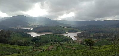 உதகை: வெற்றி, தோல்வியைத் தீர்மானிக்கும் சிறுபான்மையினர் வாக்குகள்