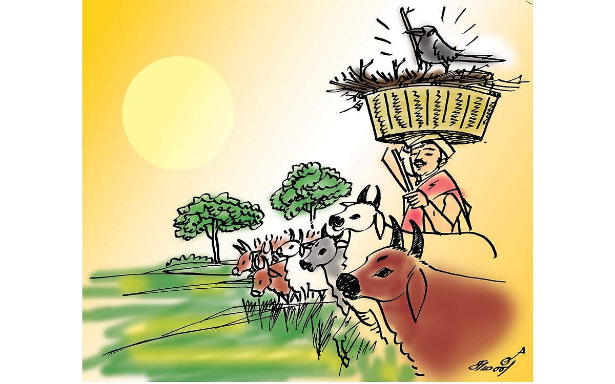 காக்கையும் கந்தனும்!