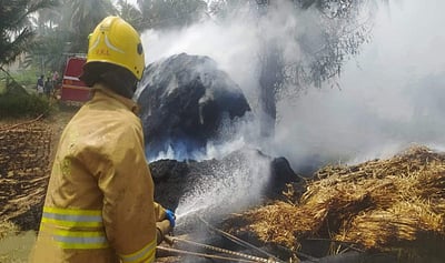 வேலிக்கு வைத்த தீயில் வைக்கோல் போர் எரிந்து நாசம் 