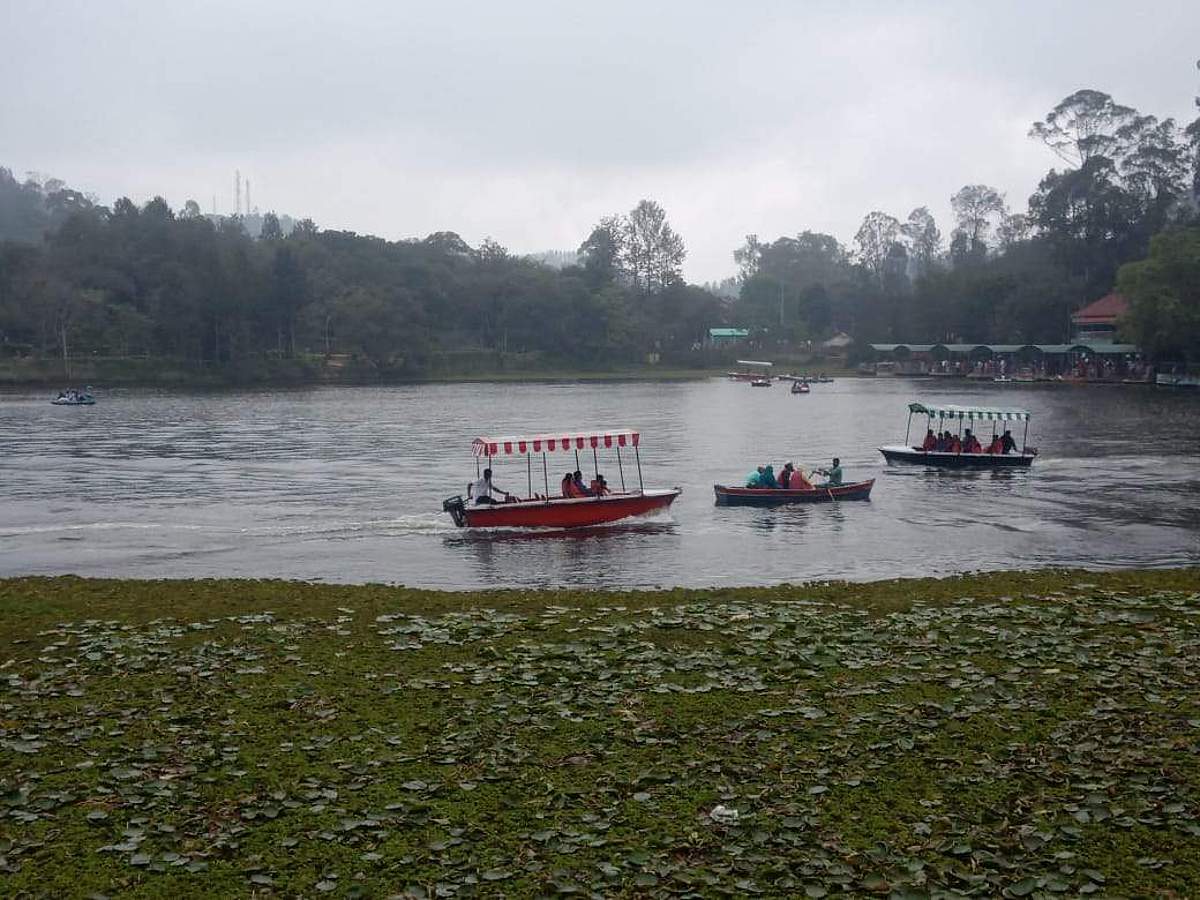 2020-இல் 30 லட்சம் வெளிநாட்டு சுற்றுலாப் பயணிகள் வருகை: மத்திய அரசு