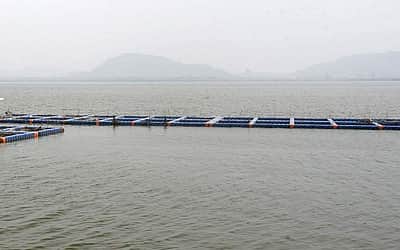 தஞ்சையில், குடியிருப்புப் பகுதிகளுக்குள் கடல் நீர் உட்புகும் அபாயம்!