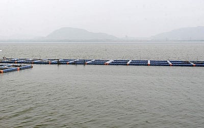 தஞ்சையில், குடியிருப்புப் பகுதிகளுக்குள் கடல் நீர் உட்புகும் அபாயம்!