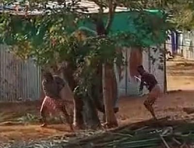 ஸ்ரீவில்லிபுத்துார் ஆண்டாள் கோயில் யானையைத் தாக்கிய பாகன்கள் - புகைப்படங்கள்