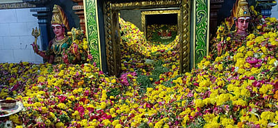 புதுக்கோட்டை: திருவப்பூர் முத்துமாரியம்மன் பூச்சொரிதல் விழா