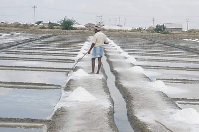 வேதாரண்யம்: நேரடியாகக் களம் காணும் அதிமுக - திமுக