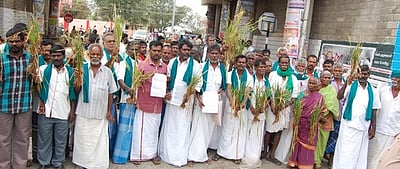 பழனி அருகே நெல் பயிரில் மகசூல் பாதிப்பு: நிவாரணம் வழங்கக் கோரி விவசாயிகள் மனு