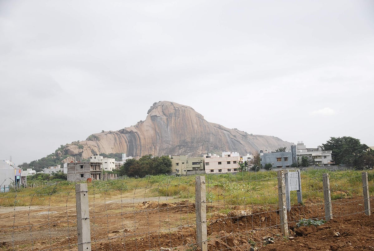 மதுரை கிழக்கு: சூரியன் மீண்டும் உதிக்குமா?