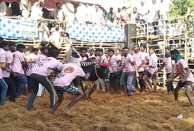 தஞ்சாவூர் அருகே நாஞ்சிக்கோட்டையில் ஜல்லிக்கட்டு