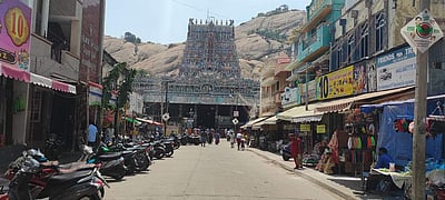 திருப்பரங்குன்றம்: வெற்றி யாருக்கு?