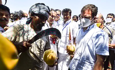 இளநீர் வியாபாரியுடன் உரையாடிய ராகுல்