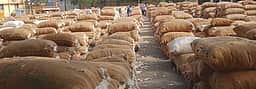 போச்சம்பள்ளியில் 5,223 கிலோ பருத்தி ஏலம்