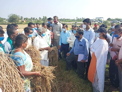 மழை, வெள்ள பாதிப்பு: புதுக்கோட்டையில் மத்தியக்குழு ஆய்வு