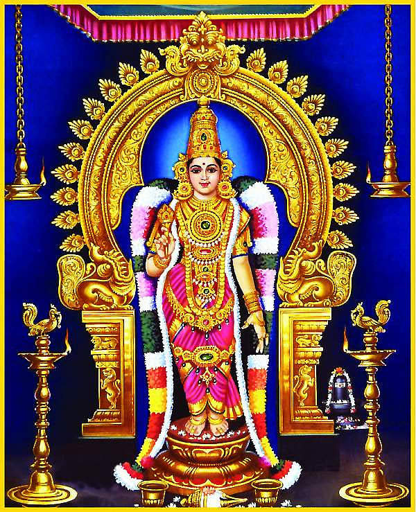 தேவியின் திருத்தலங்கள்: நெல்லை காந்திமதியம்மன்