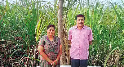 உறவுகளே என்றும் உயிர்நாடி!