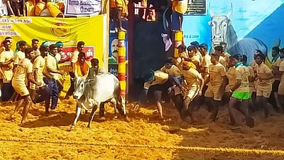 அய்யம்பட்டி ஜல்லிக்கட்டு விழா: பார்வையாளர் ஒருவர் பலி; 15 வீரர்கள் காயம்