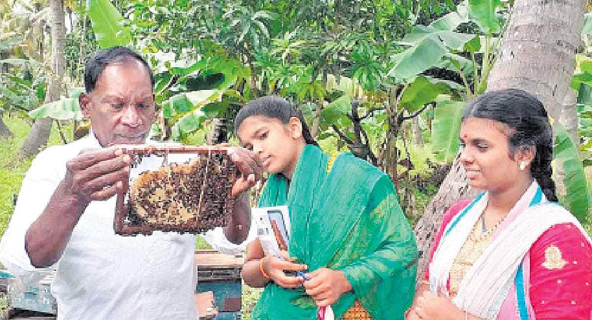 ஆய்வுக் கட்டுரை... கிராமத்து மாணவிகள்!