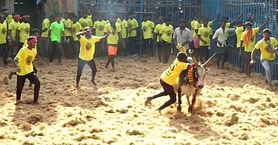 வேந்தன்பட்டியில் ஜல்லிக்கட்டு: 20 போ் காயம்