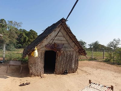 வெள்ளக்கோவிலில் வயதான தாய், மகள் தூக்கிட்டுத் தற்கொலை