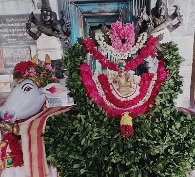 சங்ககிரி ஈஸ்வரன் கோயில்களில்  பிரதோஷ சிறப்பு பூஜை