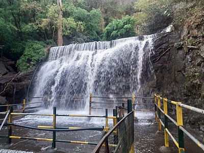 திடீர் கோடை மழை: சுருளி அருவியில் நீர்வரத்து அதிகரிப்பு