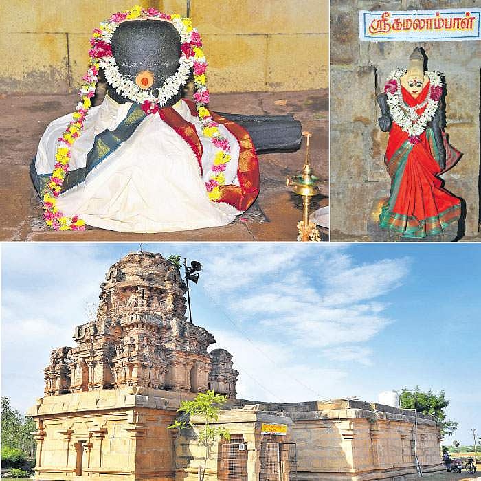 புல்வயலில் அருள் புரியும் தியாகராஜர்