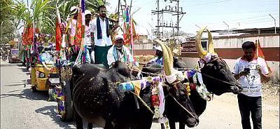 மாட்டு வண்டியில் ஏர் கலப்பையுடன் வேட்பாளர் வேட்பு மனு  