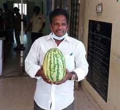 தா்பூசணியுடன் வந்த சுயேச்சை வேட்பாளா்