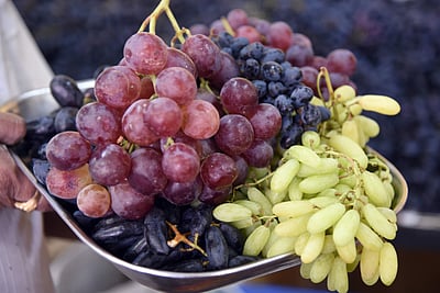 உடல் சோர்வைப் போக்கும் 'பன்னீர் திராட்சை'